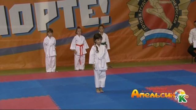 Открытый турнир по каратэ 2017 смотреть онлайн