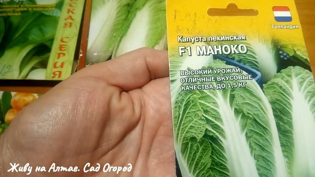 ЭТИ СОРТА КАПУСТЫ НЕ ПОДВЕДУТ/Пекинская/Пак Чой/Брокколи/Белокочанная смотреть онлайн