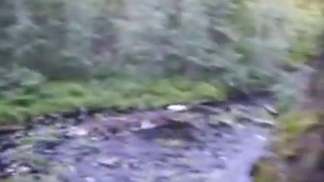 Водопад Белые Столбы