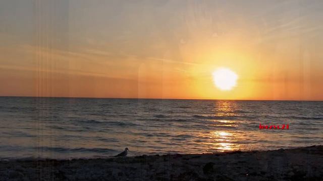 Lately смотреть онлайн