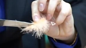 Мастер класс: Пасхальная композиция.