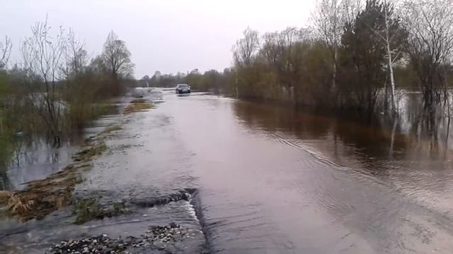 Новозыбков. Перевоз-разливы реки Ипуть! Бесплатная мойка автомобиля!!! смотреть онлайн