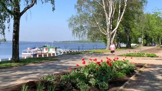 На набережной реки Волги, колокольня Богоявленского собора Костромского Кремля 18.05.2023 смотреть онлайн