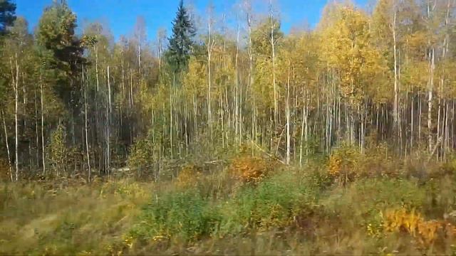 Проезжаем о п 235 км смотреть онлайн