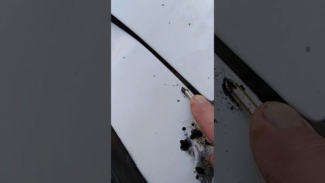 Грибные навыки