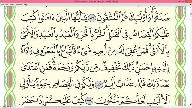 Шейх Айман Сувейд Сура Бакара стр 27