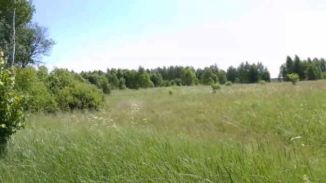 Ферзиковский район смотреть онлайн