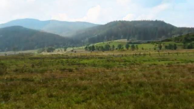 8.КВІТКА ЦІСИК ЧЕРЕМШИНА. смотреть онлайн