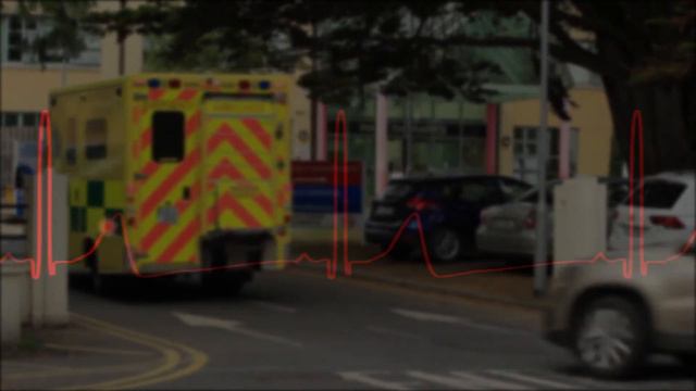 Primeros Auxilios Basicos