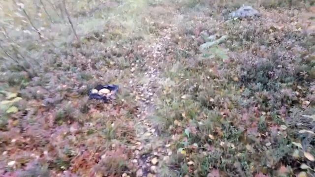 красноголовики смотреть онлайн