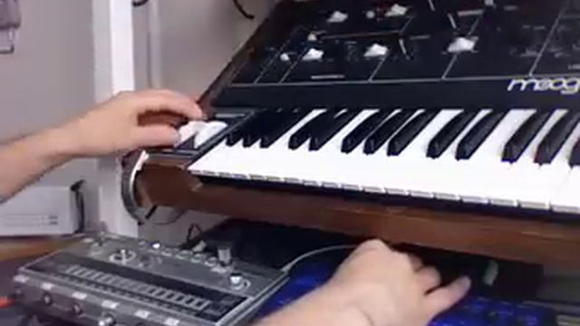 Moog prodigy, evolver and a 606 смотреть онлайн