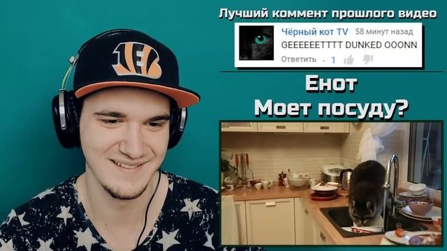 Енот забрался в чужой дом и помыл посуду в Алматы | РЕАКЦИЯ