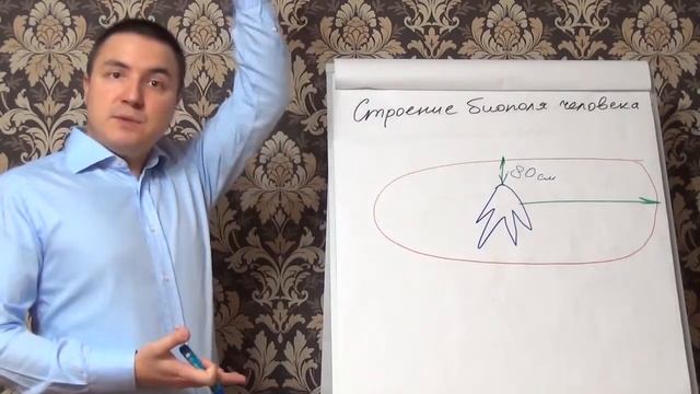 Строение биополя человека смотреть онлайн