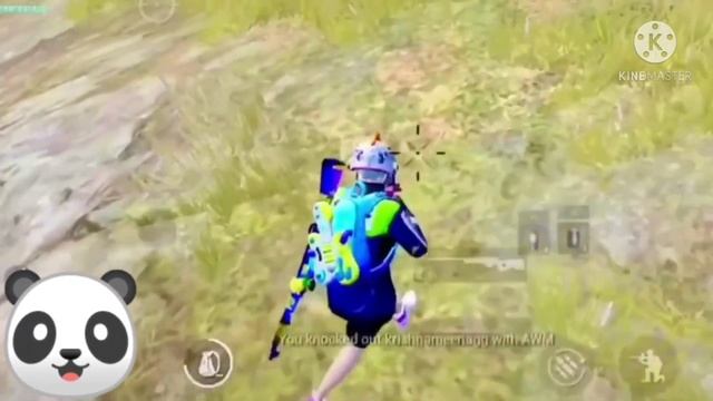 panda mini shayri in pubg | le six??| pubg mobile смотреть онлайн
