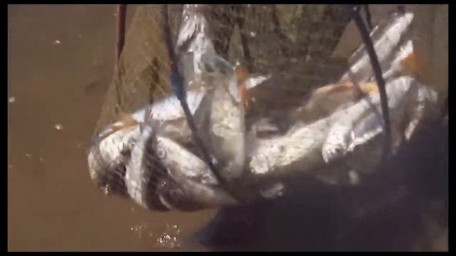 Не везет в рыбалке, повезет в любви!!! смотреть онлайн