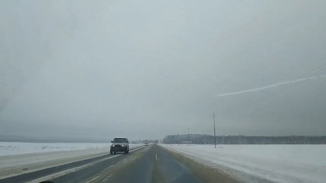 Мы переехали... Дрессировка собак в Самаре и передержка смотреть онлайн