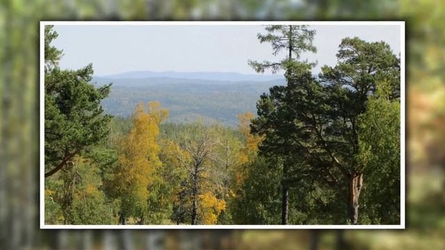 Тихая сказка осеннего леса. Музыкальное слайд - шоу. смотреть онлайн