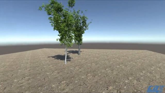 Деревья Тополь и Берёза смотреть онлайн