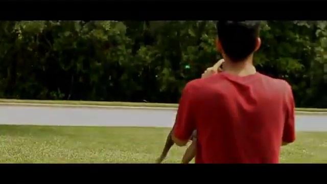 Капоэйра(мастера) Capoeira смотреть онлайн