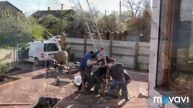 Посадка берез смотреть онлайн