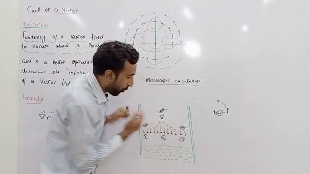 Lecture 3- Curl of a Vector Field || Mechanic || BS and ADP смотреть онлайн