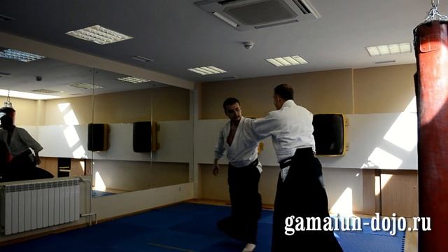 Гармония Айкидо смотреть онлайн