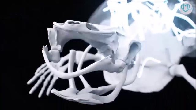 Диагностический центр №3 г. Москвы Платные услуги