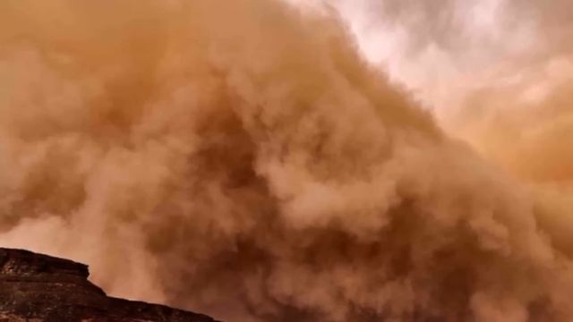 Нас сверху ОПЫЛЯЮТ, а мы выводим из себя соли тяжелых металлов и обмениваемся информацией. смотреть онлайн