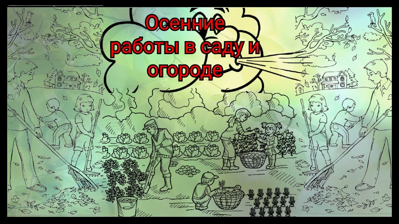 Количество полезной микрофлоры и дождевых червей будет зашкаливать, если провести такую обработку