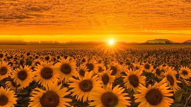 Сура Кахф,Сура Ясин,Сура Рахман,Сура Вакиа,Сура Мульк. Слушайте коран каждый день. смотреть онлайн