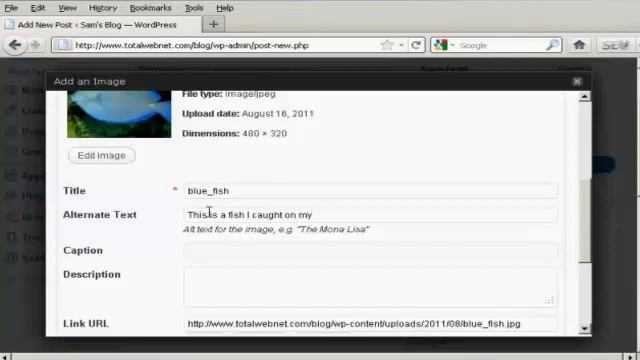 How to Insert and Format Images смотреть онлайн