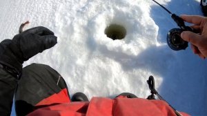 Ловля на бокоплавы