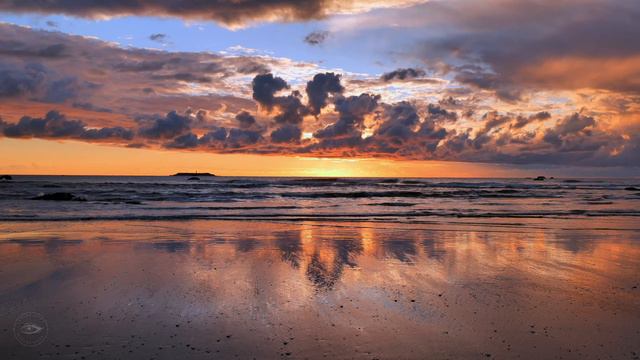 4K Crashing Ocean Waves Olympic National Park Peaceful Nature Sounds for Sleep смотреть онлайн