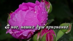 РОЗЫ И ДОЖДЬ_композитор Андрей Обидин_монтаж Сергей Зимин