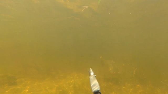 Подводная охота в астраханских раскатах летом 2022! День 1 смотреть онлайн