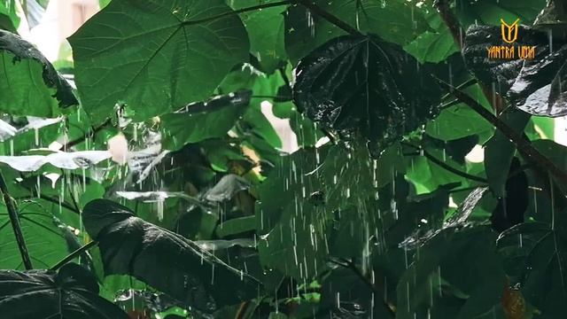 Музыка дождя. Звуки природы. Autumn relaxation Music of the rain Sounds of nature смотреть онлайн
