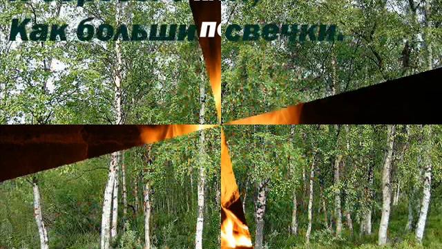 Мысли о природе смотреть онлайн