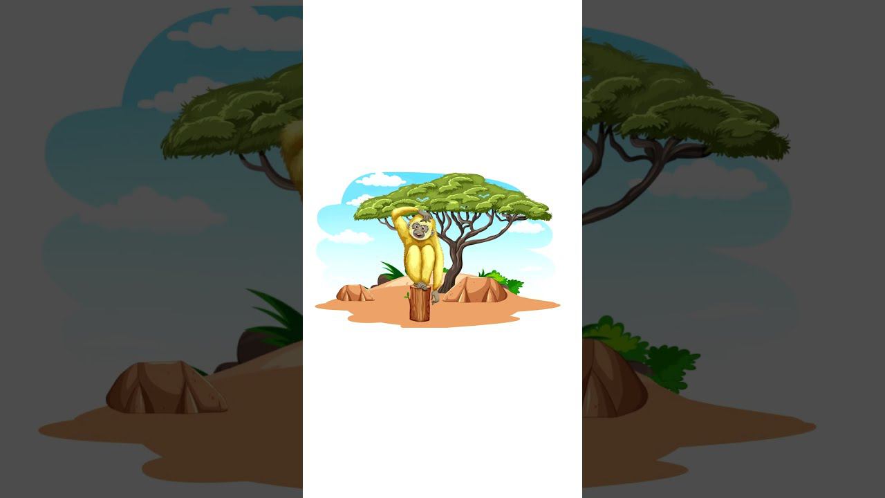 Гиббон - Удивительные животные для детей #мультики #учисьиграй #крошкаантошка #развивающиемультики смотреть онлайн