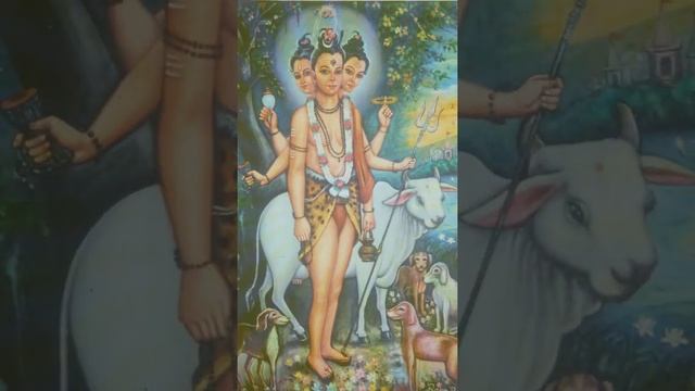 Guru Dev Datta Status |Sri datta guru Whatsapp Status |DattaGuru New Whatsapp Dattajayanti *5 2021 смотреть онлайн