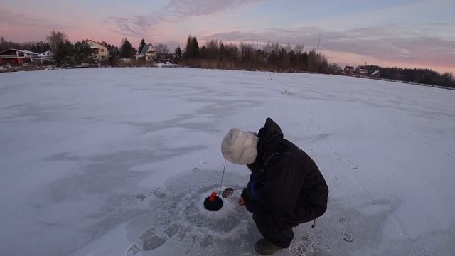 ПЕРВЫЙ ЛЕД. ШУРУПОВЕРТ И БУР С АЛИЭКСПРЕСС. ЖЕРЛИЦЫ. Панамафиш #60 смотреть онлайн