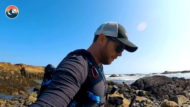 Jumping Into Shark Frenzy! Will I Survive?