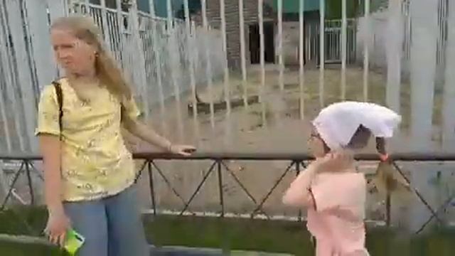 Гродно. Зоопарк в Гродно. Гродненский зоопарк. 3 часть нашего путешествия смотреть онлайн
