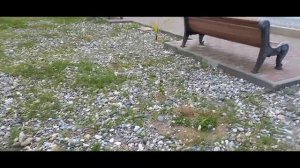 Обзор Отеля "Напра"/ Абхазия/Цандрипш