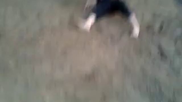 Летающий хомяк смотреть онлайн