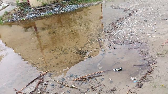 Паводок на Оби. Сургут. 16.06.24 смотреть онлайн