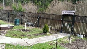 Почему на дачах нет людей? Жарим шашлыки..