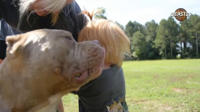 The World’s Ultimate Pit Bulls | BIG DOGZ смотреть онлайн