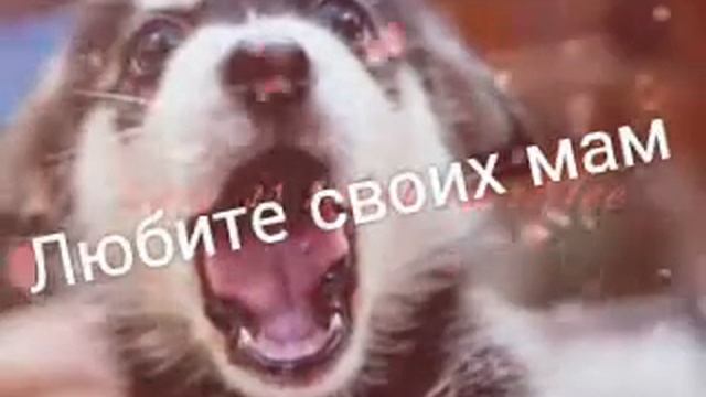 В этот праздник мамы смотреть онлайн
