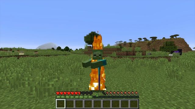 MetaMorph Mod 1.12.2 | Minecraft