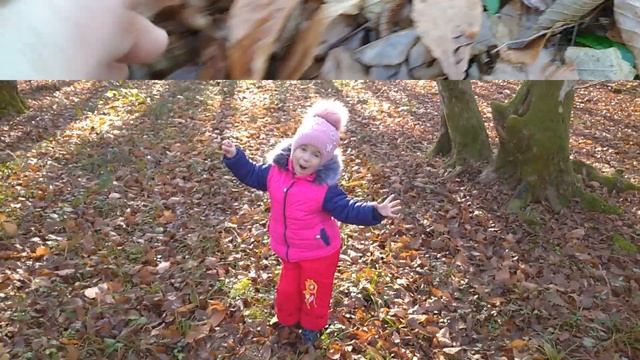 по ягоды по грибы